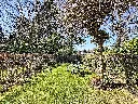 bambou-14_00003.webp