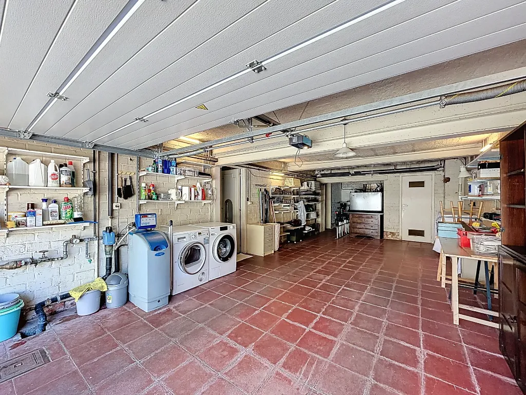 bambou-14_00028.webp