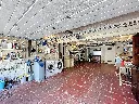 bambou-14_00028.webp