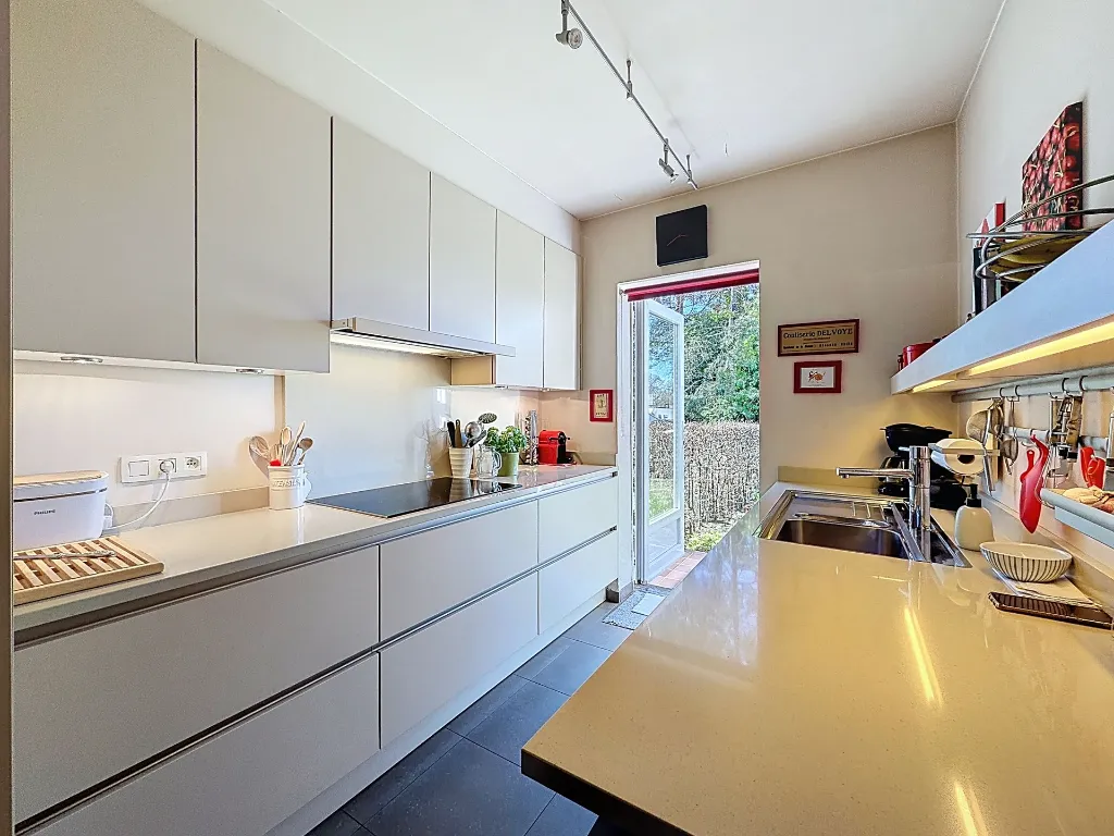 bambou-14_00010.webp