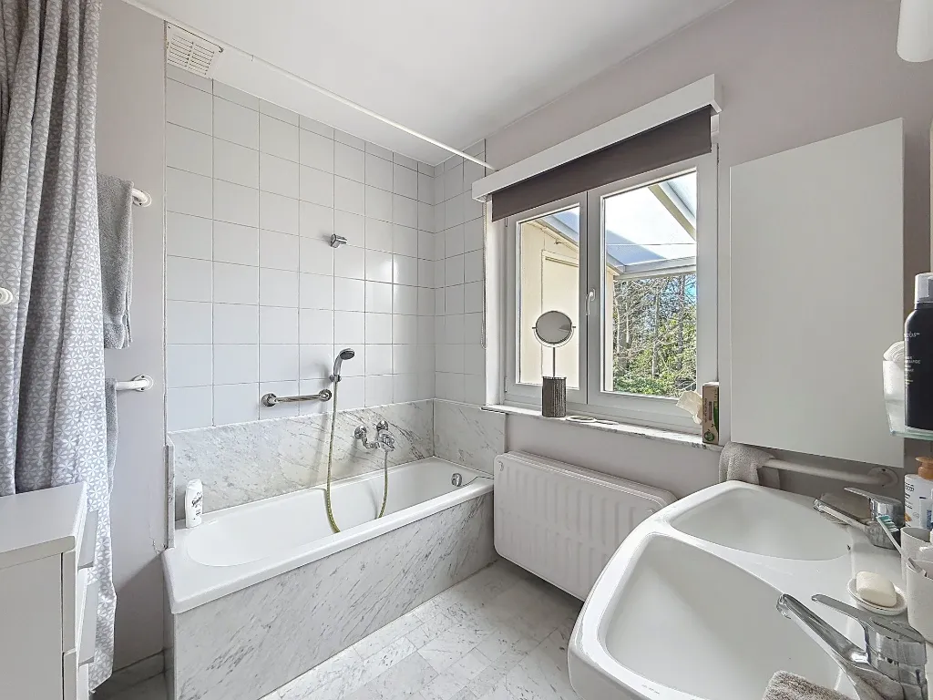 bambou-14_00015.webp