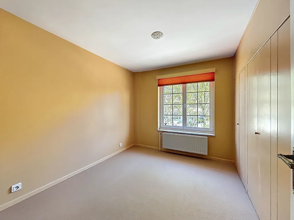bambou-14_00006.webp