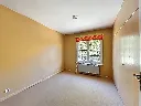 bambou-14_00006.webp
