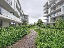 stalle-290_00020.webp